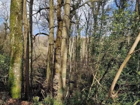 vente bois  forêt et étang à rouillac (22250) : à vendre / rouillac