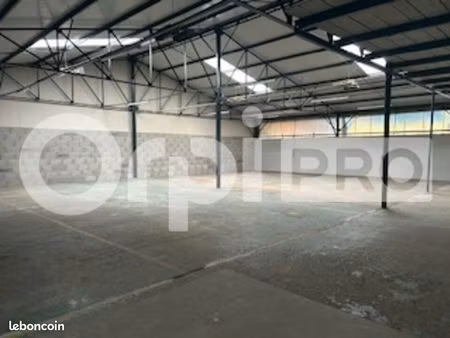 local d'activité 733 m²