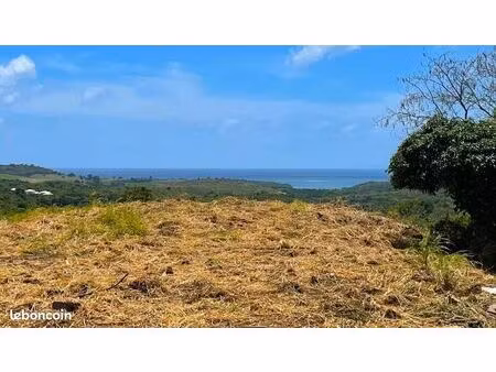 terrain 499 m² riviere salee