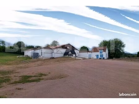 local d'activité 395 m²