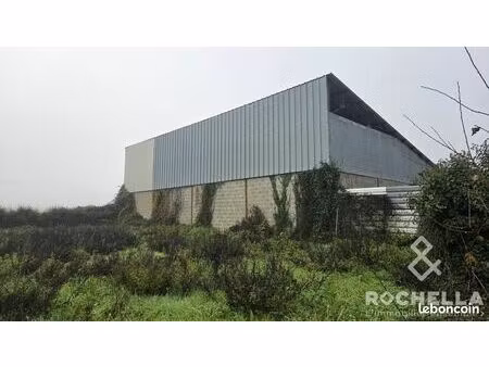 immeuble 250 m² paillé