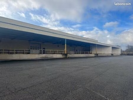 local logistique 600 m²
