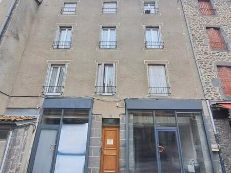 immeuble de rapport 11 pièces 190 m²