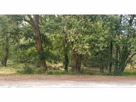 terrain 1 242 m² soulac sur mer