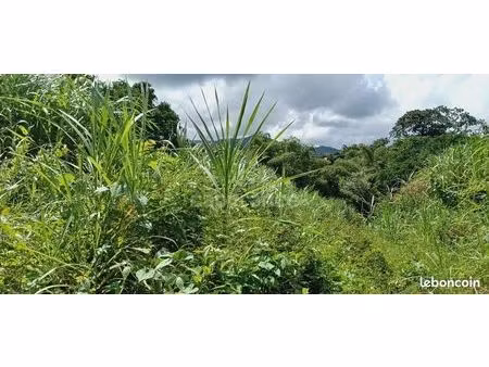 terrain 5 303 m² gros morne