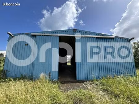 local d'activité 250 m²