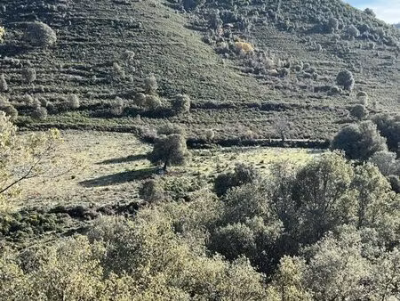 vends terrain agricole