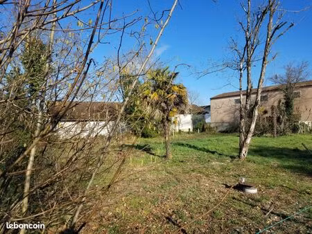 terrain constructible