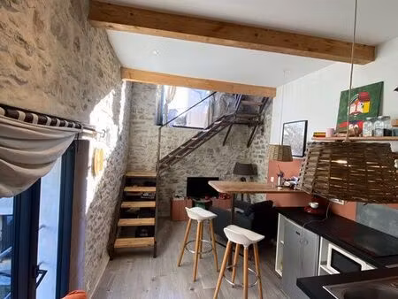 maison en pierre 2 faces  3 niveaux terrasses calme