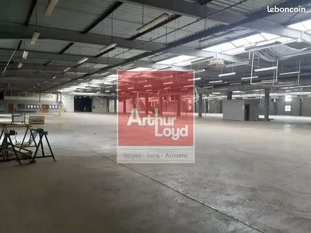 entrepot - logistique 6022 m² piney