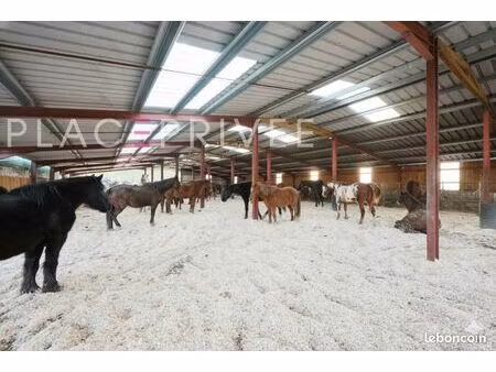 terrain 11 pièces 320 m²