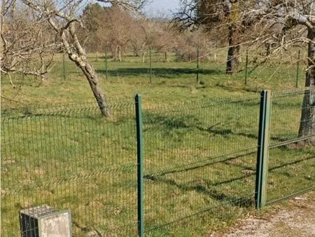 terrain constructible viabilisé arboré