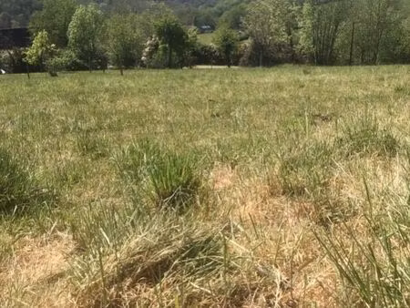 terrains à vendre
