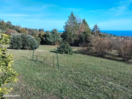 terrain constructible cervione