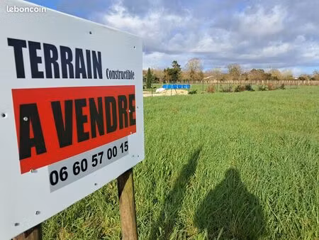 terrain constructible