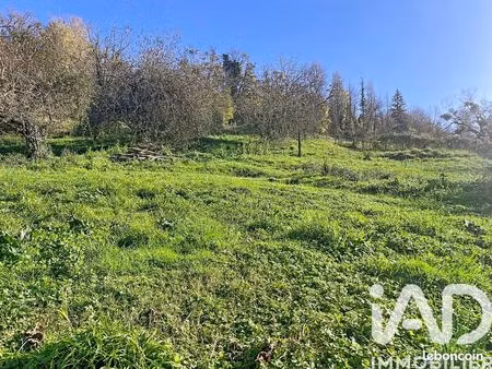 terrain 9264 m² monein