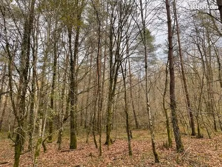 vente terrain boisé 2 77 ha