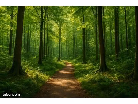 terrain 59724 m² urcuit