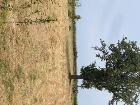 terrain constructible