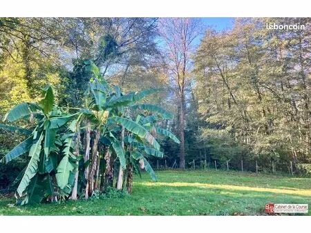 maison 5 pièces 135 m²