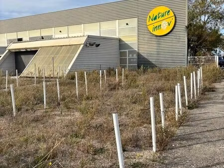 local commercial 250 m² toulouges