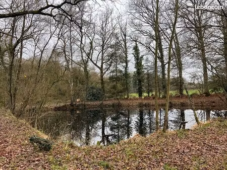 terrain 5300 m² dinge