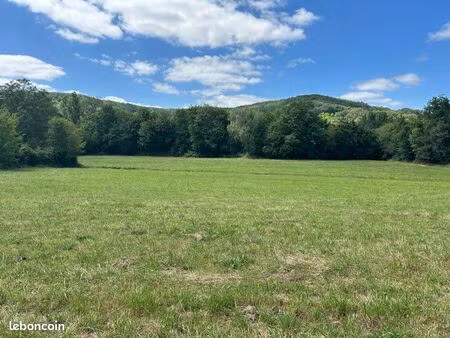 terrain constructible