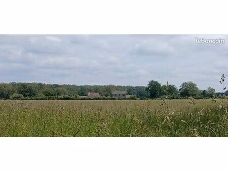 ensemble immobilier rare sur 2500 m2 - 2 maisons à fort potentiel