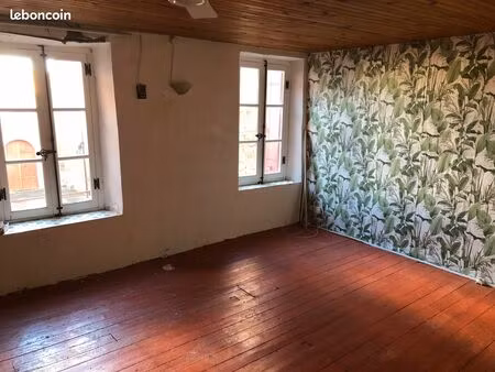 double maison a vendre dans un village