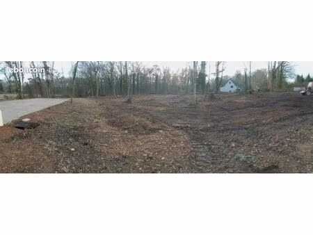 terrain constructible