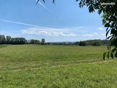 terrain 1 317 m² hesingue