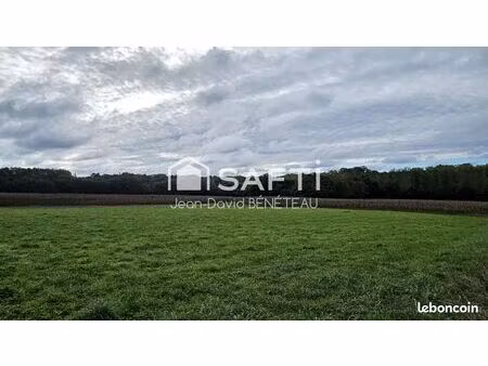 terrain 7000 m² panjas