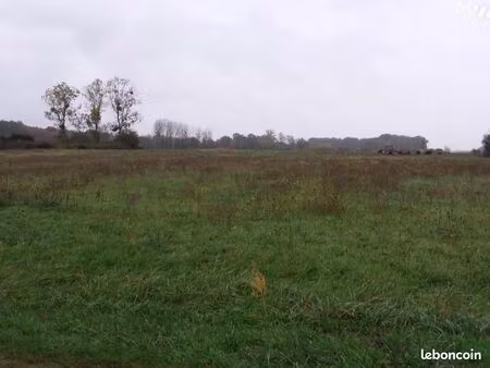 terrain 6129 m² soings en sologne