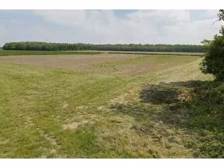 terrain à bâtir plat 23 ares – 1 ou 2 villas – gerpinnes