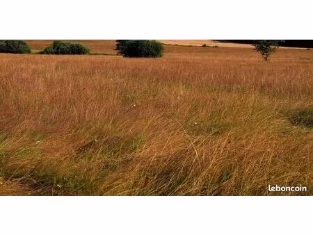 terrain grande surface