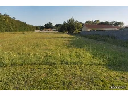 terrain constructible