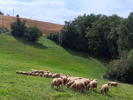 cherche terrain agricole