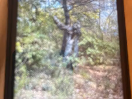 terrain dans les hautes blases