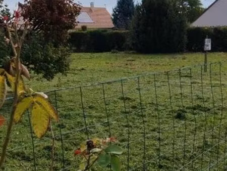 terrain constructible