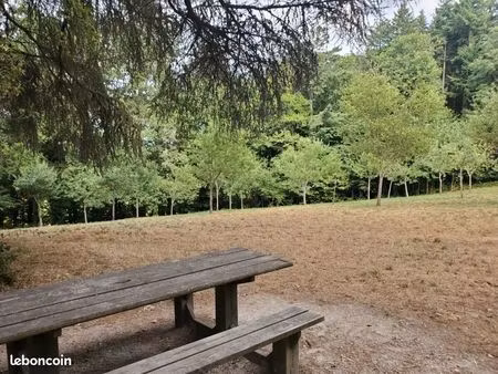 appartement en viager 3 pièces 78 m²