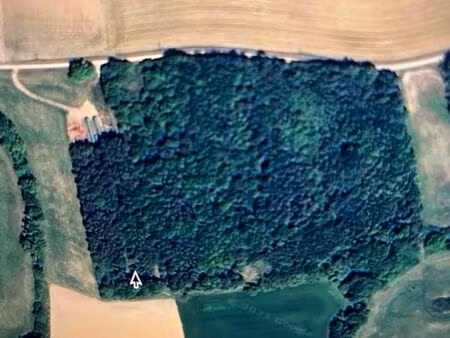 terrain boise avec sources