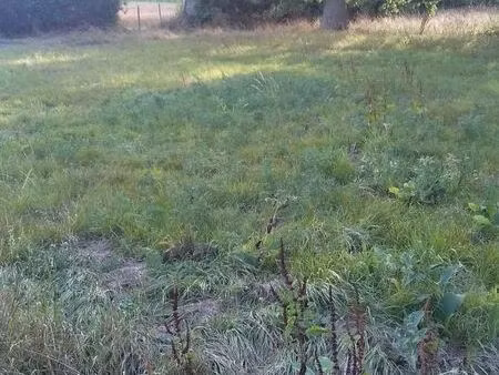 hangar 160m2 couvert sur 3000m2 de terrain