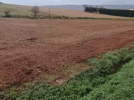 terrain constructible à projan