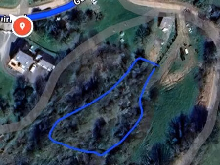 petit bois avec ruisseau