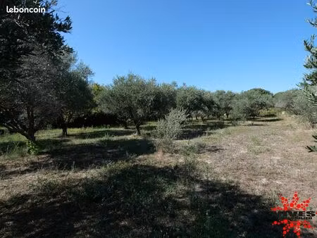 terrain 1326 m² capestang