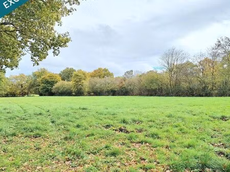 terrain 2600 m² auxy