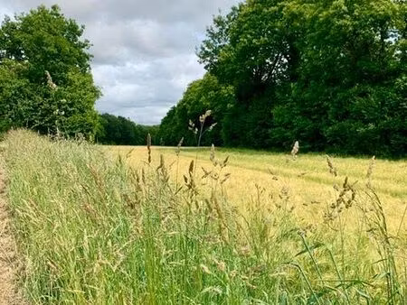 terrain constructible