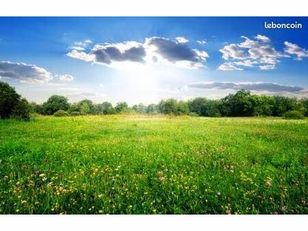 terrain environ 500m²