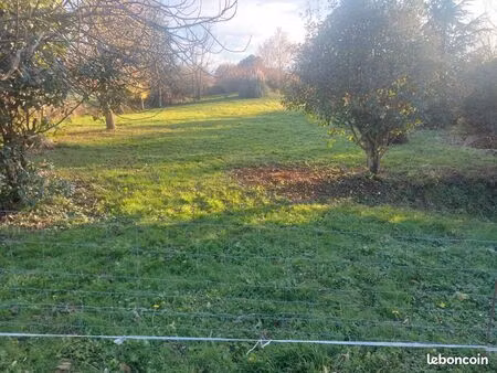 terrain constructible