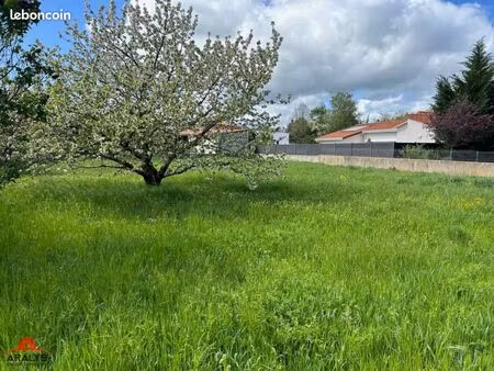 terrain 580 m² riorges